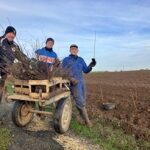 Plantation de Haies - Thairé