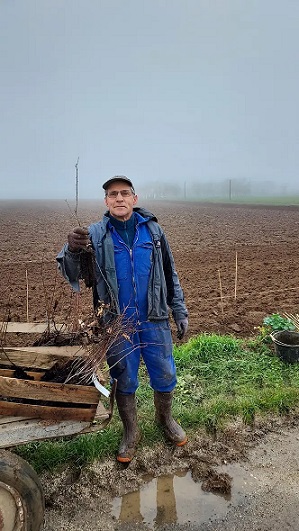 Plantation de Haies - Thairé